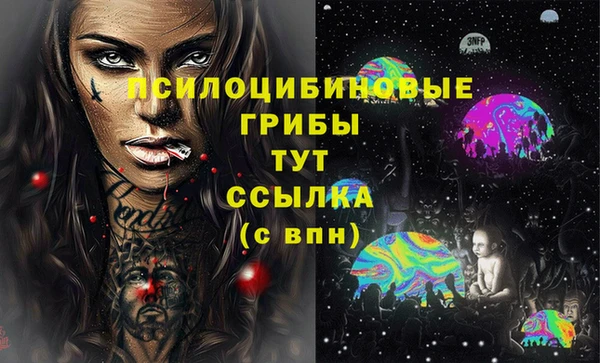 мет Арсеньев