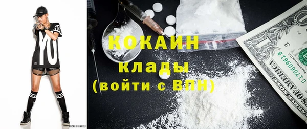 сатива Аркадак