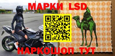 дживик Ставрополь