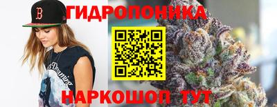 дживик Ставрополь