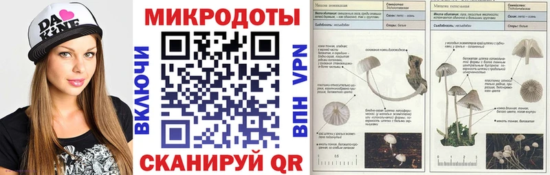 где купить   Георгиевск  Псилоцибиновые грибы Psilocybine cubensis 